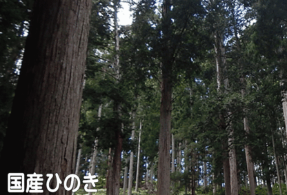 国産ひのき